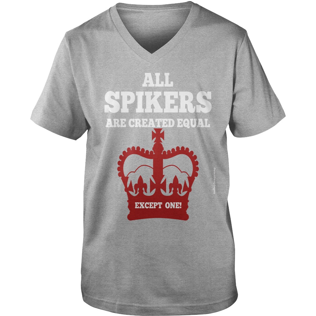 Volleyball T Shirt Sayings For Blockers, Setters and Liberos