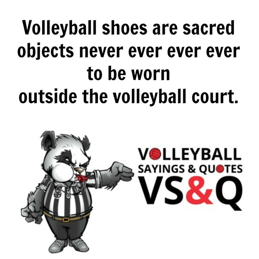 inspirational volleyball quotes