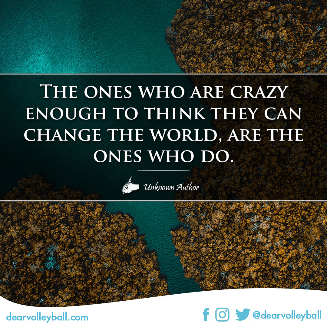 The ones crazy enough to think they can change the work are the ones who do and other motivational volleyball quotes on DearVolleyball.com