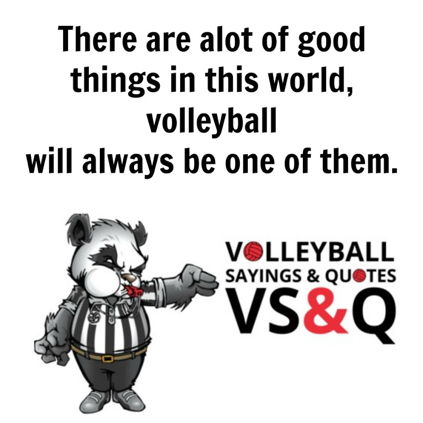 Volleyball Quotes and Sayings