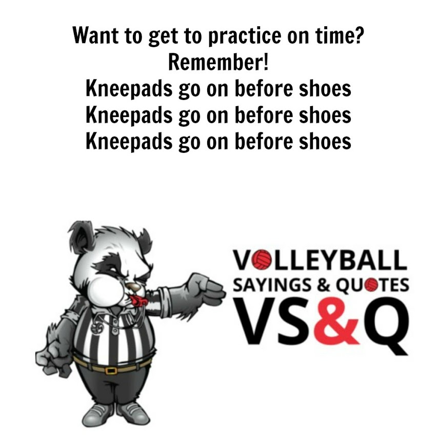 Volleyball Quotes and Sayings