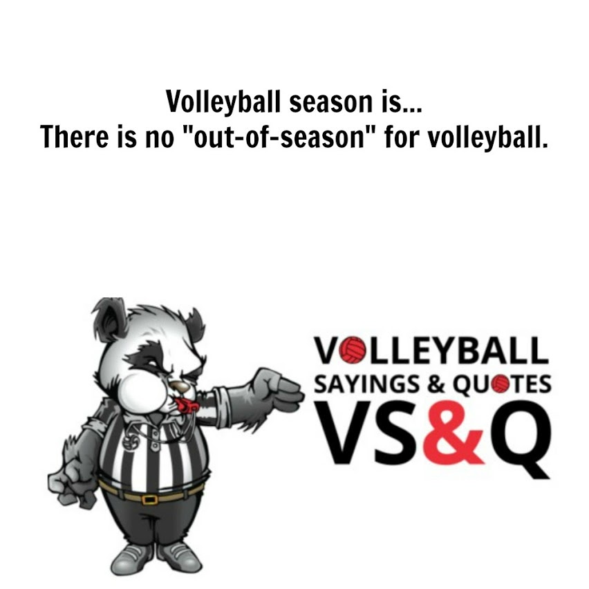 Volleyball Quotes and Sayings