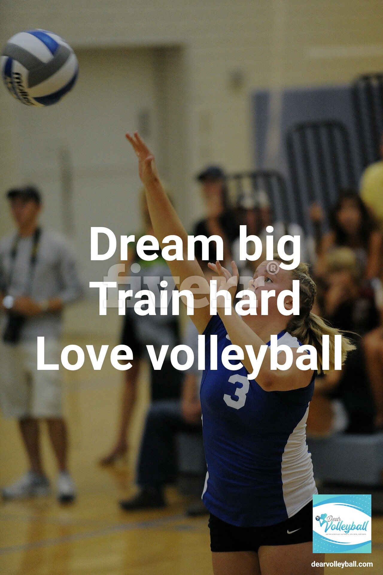 The Volleyball Quote My Club Players Were Most Inspired By