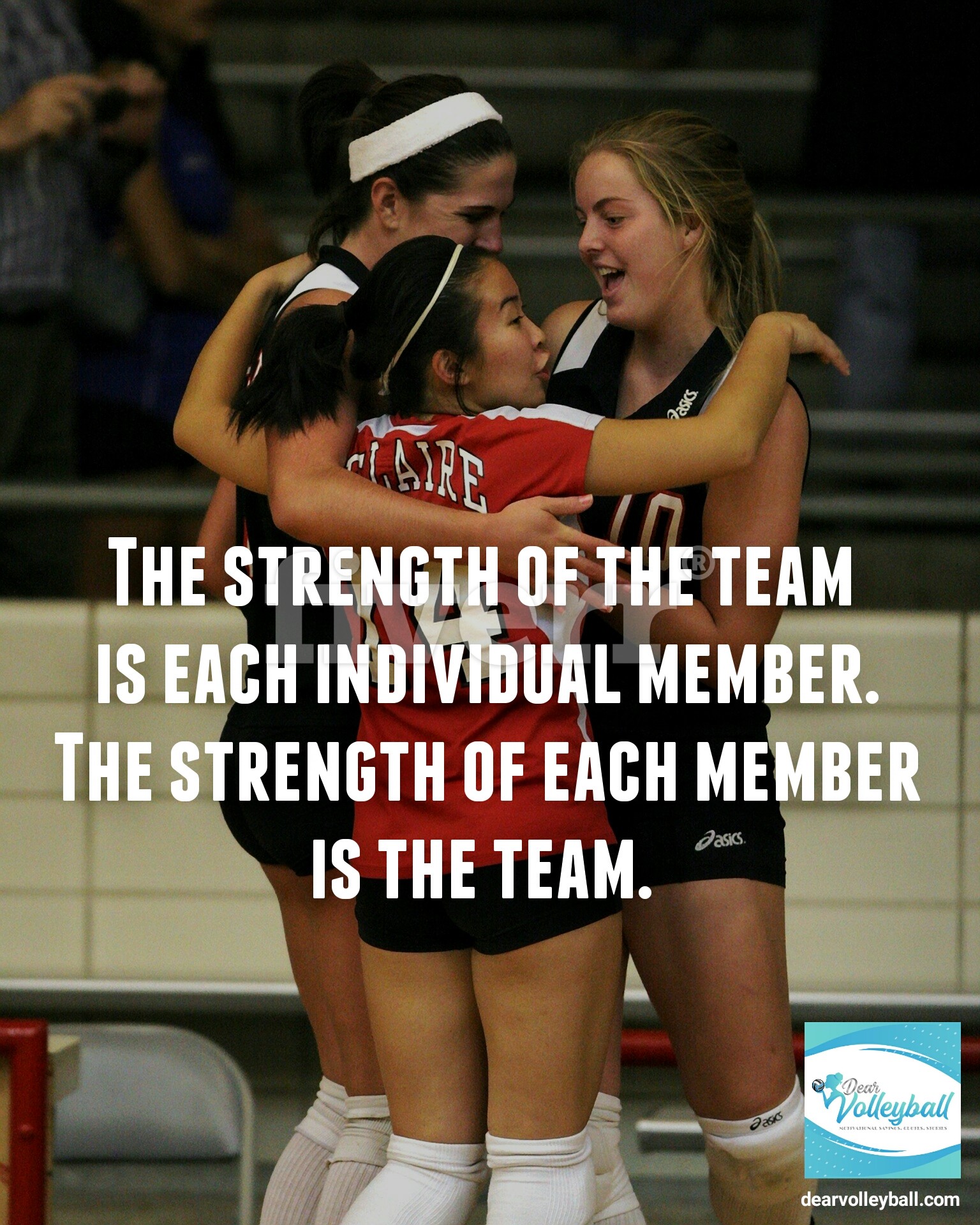 The strength of the team is each individual member. The strength of each member is the team and other volleyball coach quotes on DearVolleyball.com.