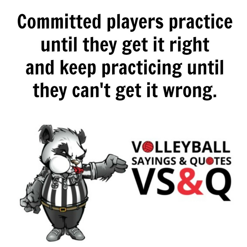 Volleyball Quotes and Sayings