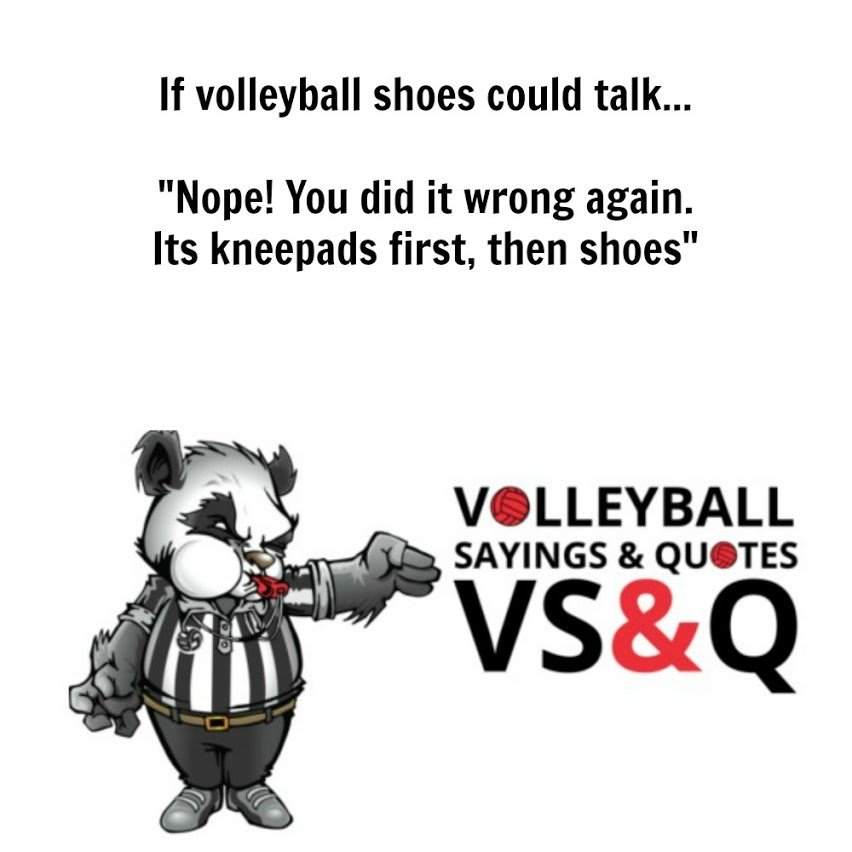 volleyball sayings and quotes vs&q