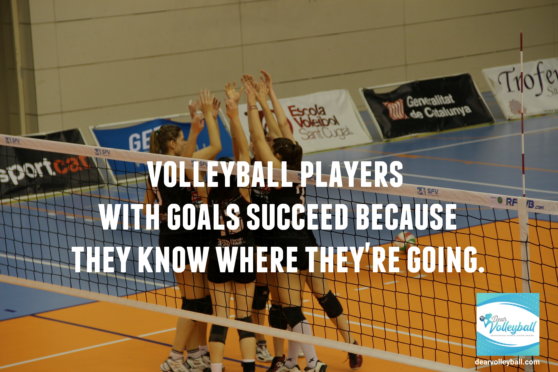 Volleyball players with goals succeed because they know where they are going and other motivational volleyball quotes on Dear Volleyball.com