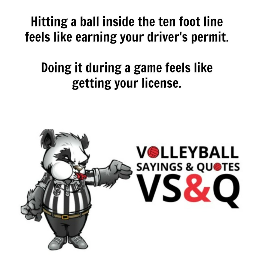 Volleyball Quotes and Sayings