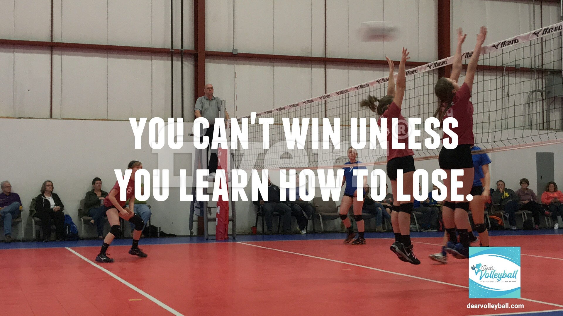 You can't win unless you learn how to lose and other motivational volleyball quotes on Dear Volleyball.com