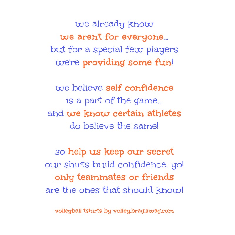 we already know we aren't for everyone and other volleyball slogans for volleyball hitters on DearVolleyball.com