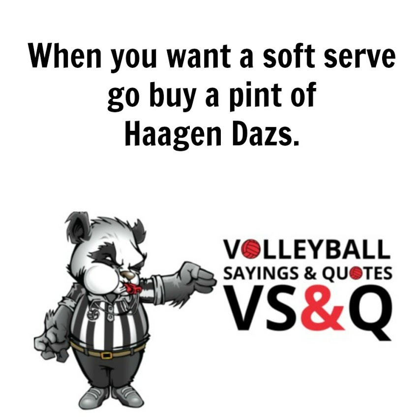 Volleyball Quotes and Sayings